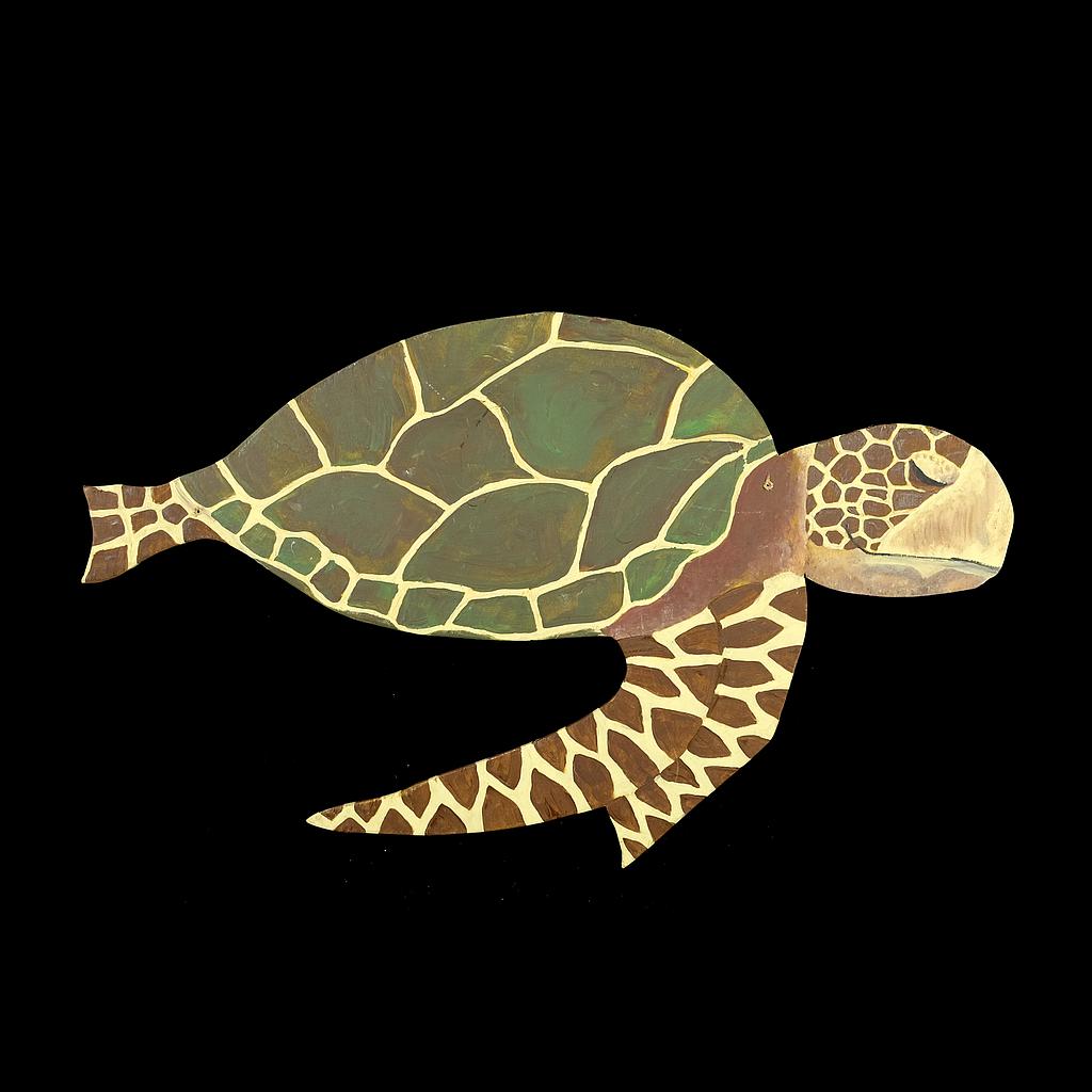 bemalte Schildkröte aus Holz (2D)