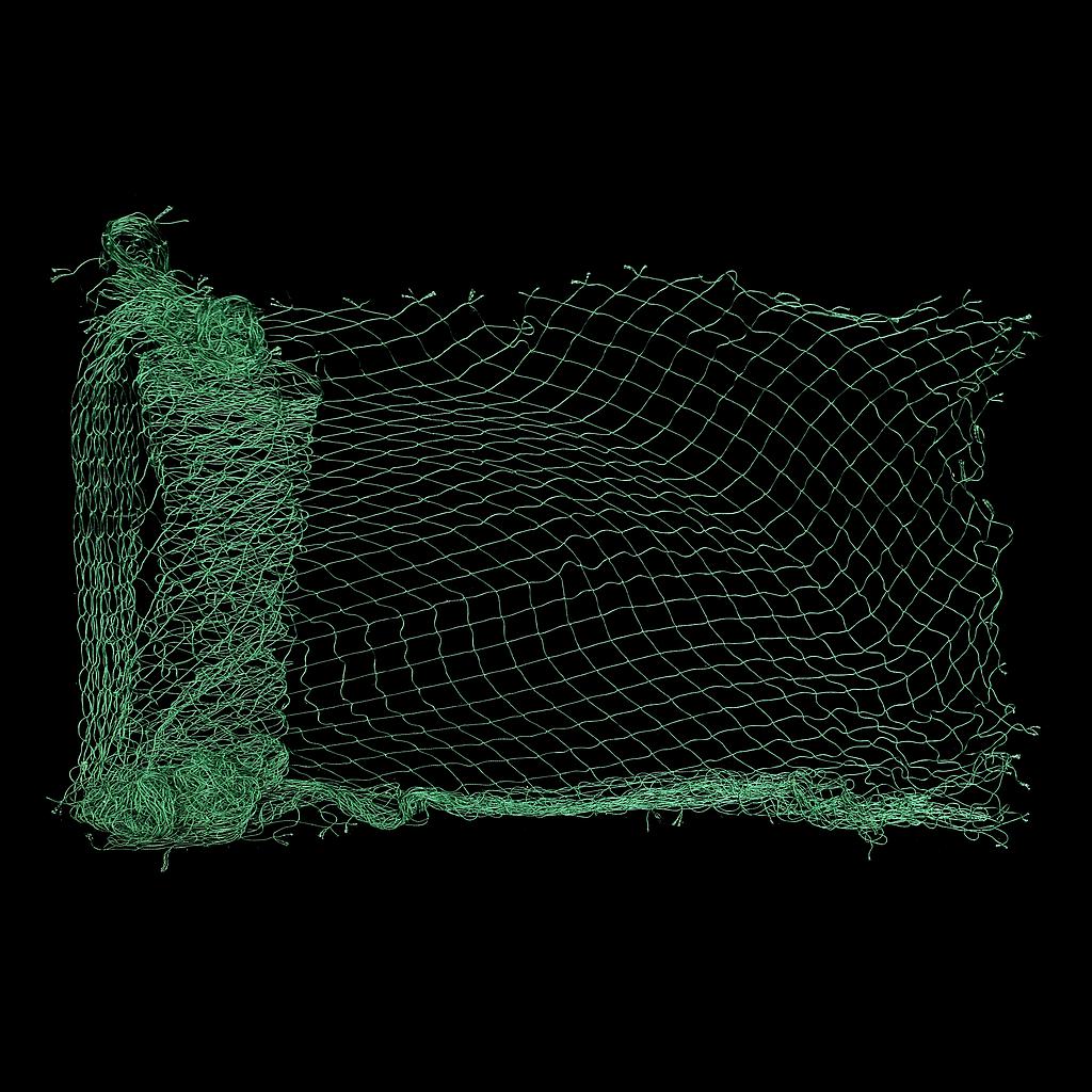 mittelgroßes, grünes Netz